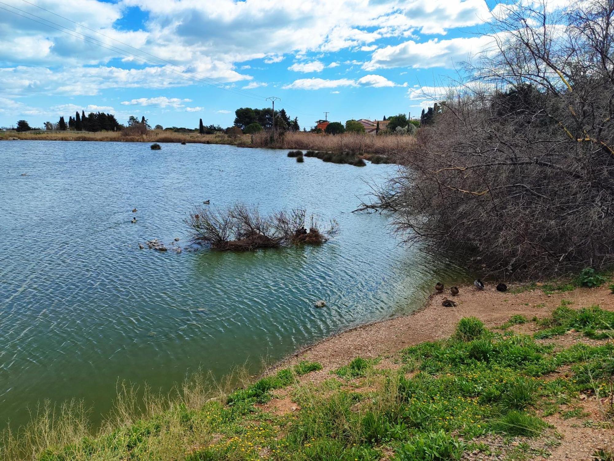 Mobilhome Au Camping Les Salins De La Gardiole Ex Camping Europe ヴィック・ラ・ガルディオル エクステリア 写真